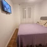 Lavanda 2