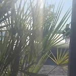 Vivito Apartment
