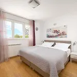 Comfortable Apartment