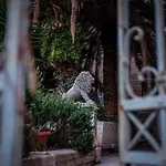 Gardin Split Apartment And Suite