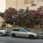 Apartments Rajna