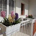 Apartment Vice Mali