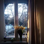Apartment Optimist/City Break