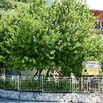 Nora Wine House