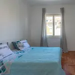 Apartman Rhapsody