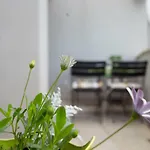 Apartman Ivana