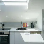 Dalmat Apartment