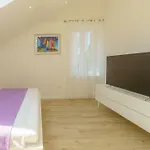 Dalmat Apartment