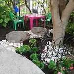 Apartment Olive Tree
