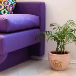 Split Old Town Apartment