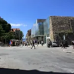 Pelenito