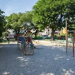 Morus Alba