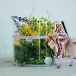 Apartman Kristina
