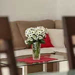 Apartment Spalato