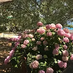 Holiday Home Oleja