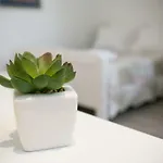 Apartment Sara