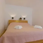 Apartment Ivo