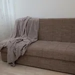 Apartments Put Plokita Smilja