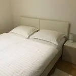 Apartment Zenta