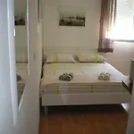 Apartment Ivana