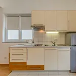 Apartment Roko