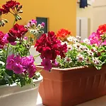 Studio Apartman