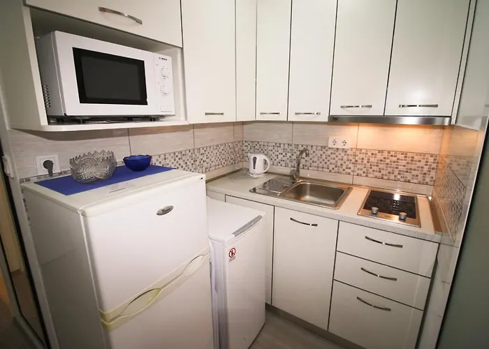 Studio Apartman Ana