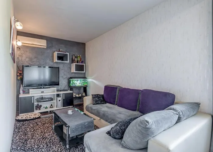 Cool Cozy Apartment