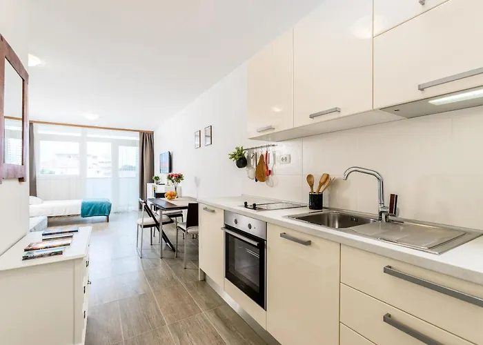 Studio Apartment Romana
