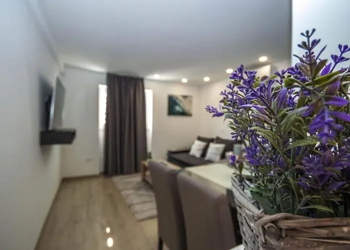 Wonderful Apartment Near City Center And Sea