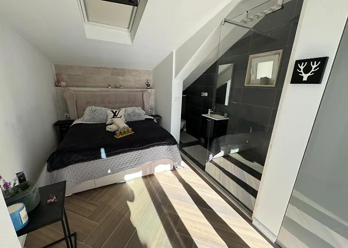 Luxury Apartment Martinis With Pool