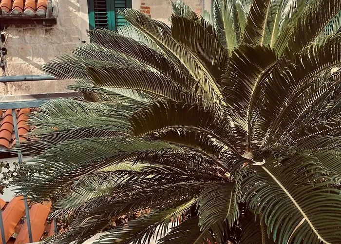 Villa Saint Lucas