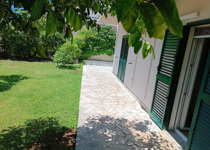 Valentinas Garden
