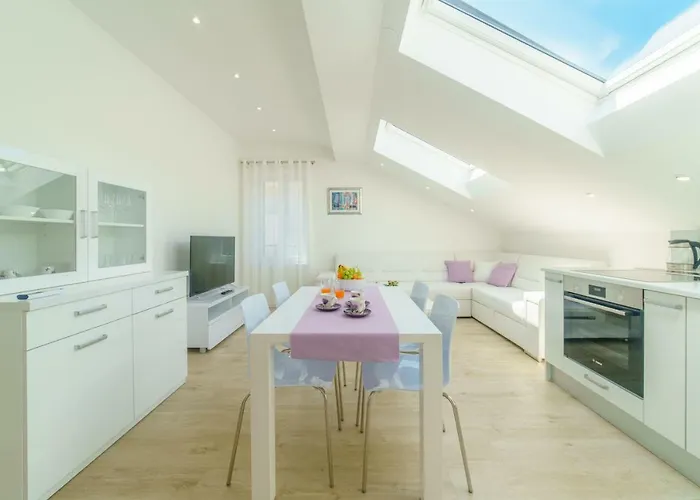 Dalmat Apartment