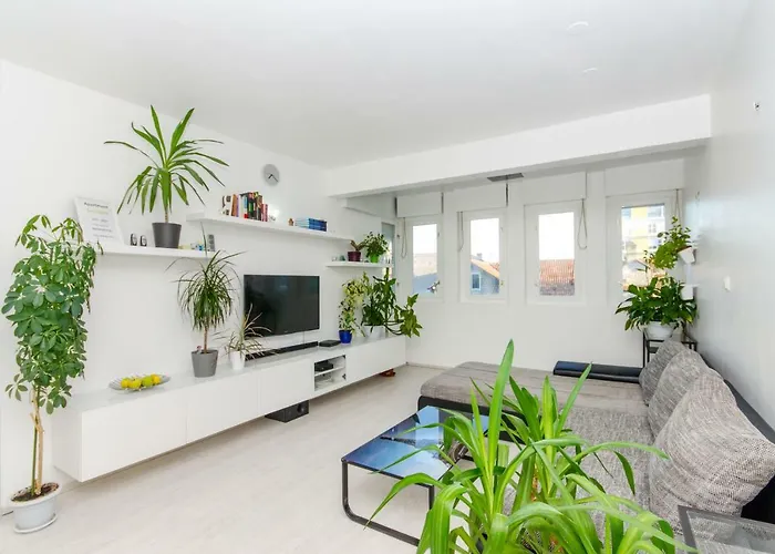 Apartment Sunshine