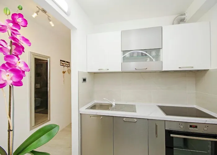 Split Symphony Garden: Modern, New Apartment