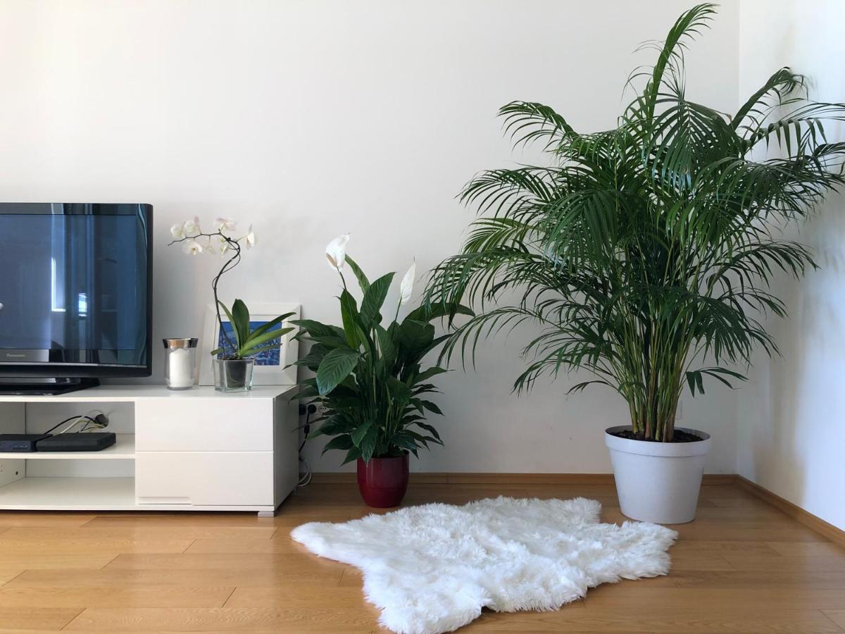 Apartamento Charming *