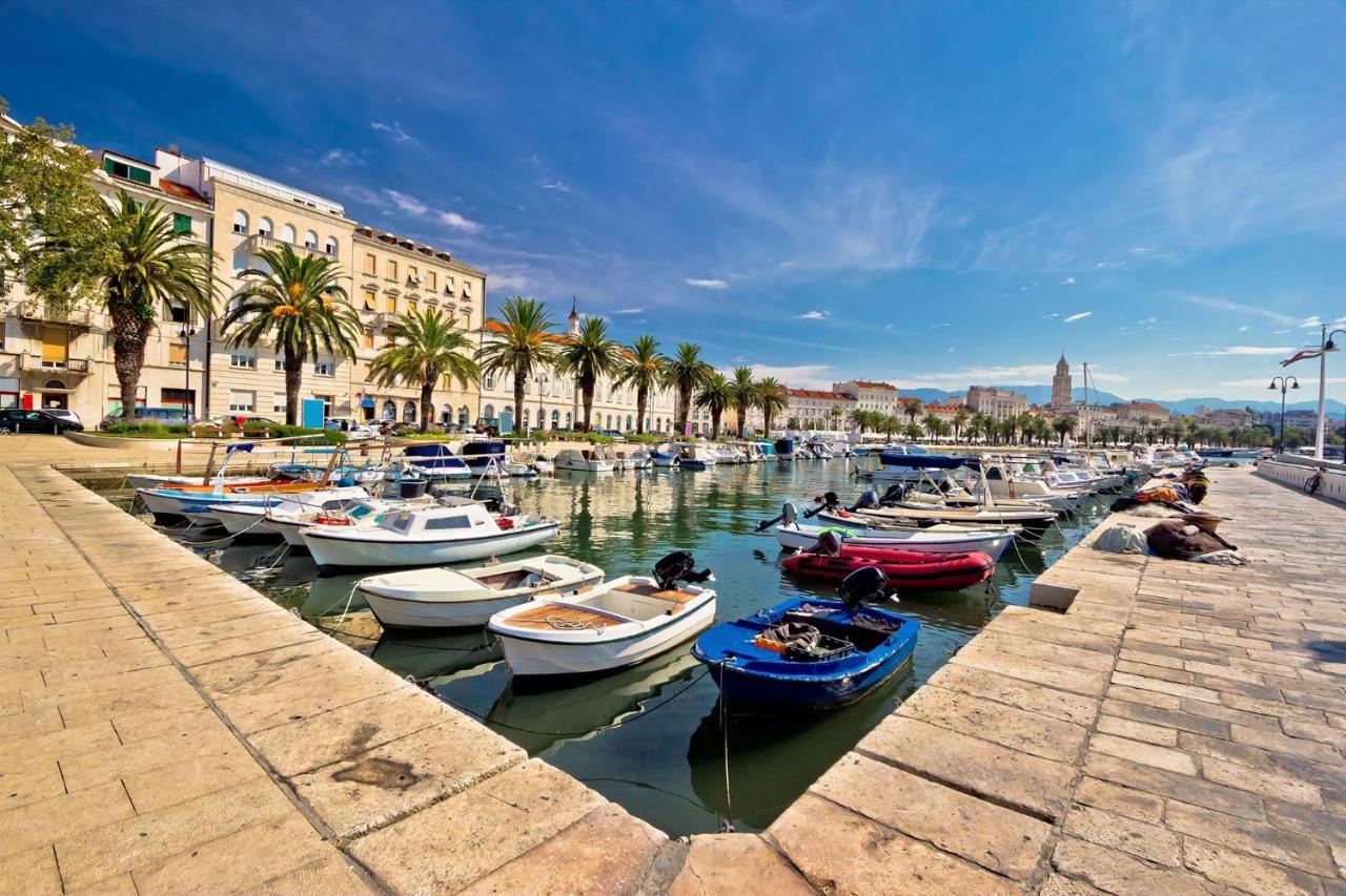 Dalmatian 230m2 With Pool And Garden Near The Old Town For Families Apartment