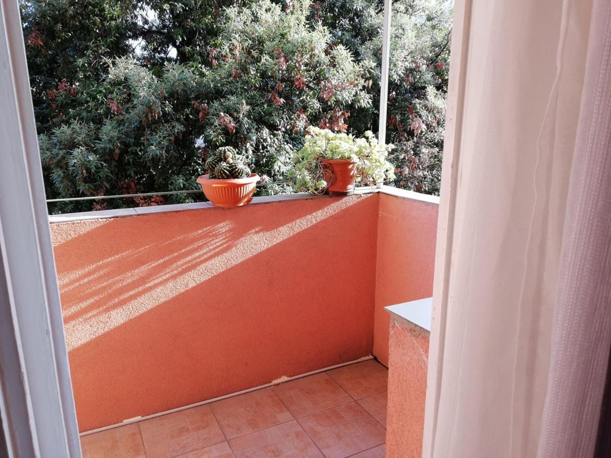 Mahonia Apartment