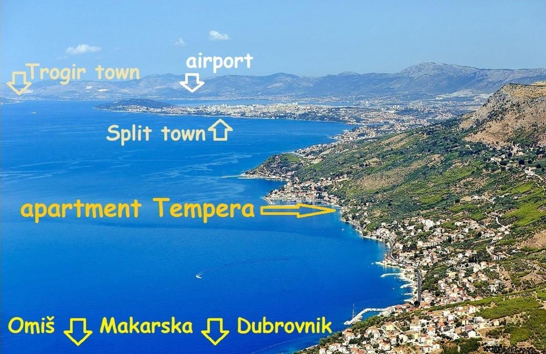 Tempera By The