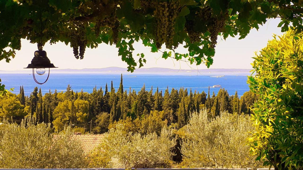Mediterranean House - Forest Marjan
