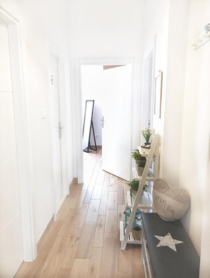 Centre Lex Apartment Split
