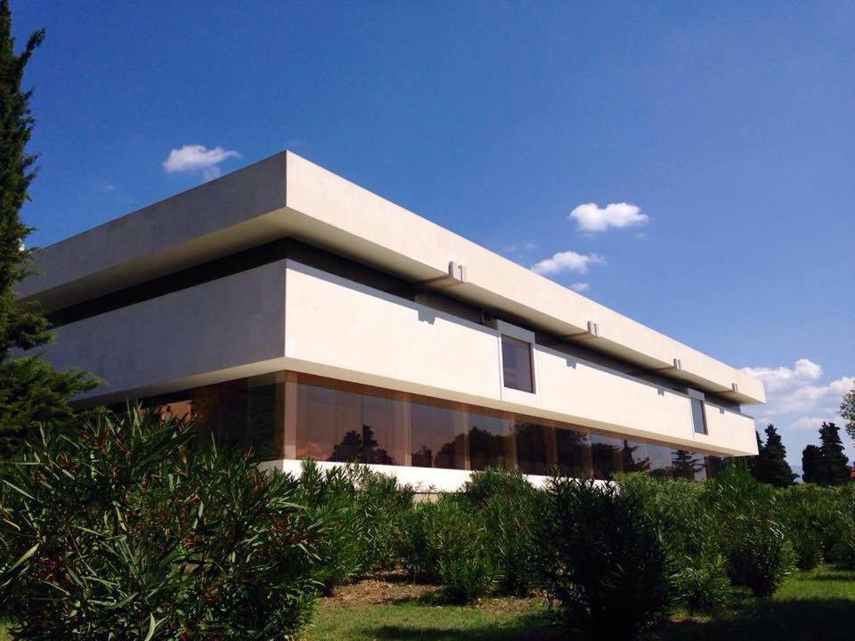 Ankora * Split