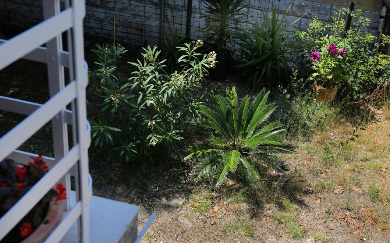 Garden Luxury Guest house