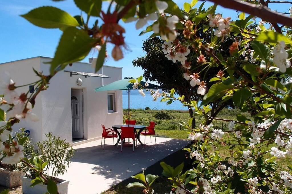 Summerhouse Calypso Apartamento *