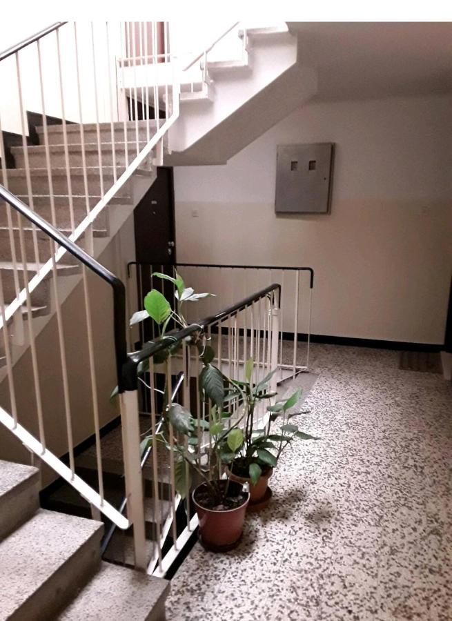 Vlatka Apartment