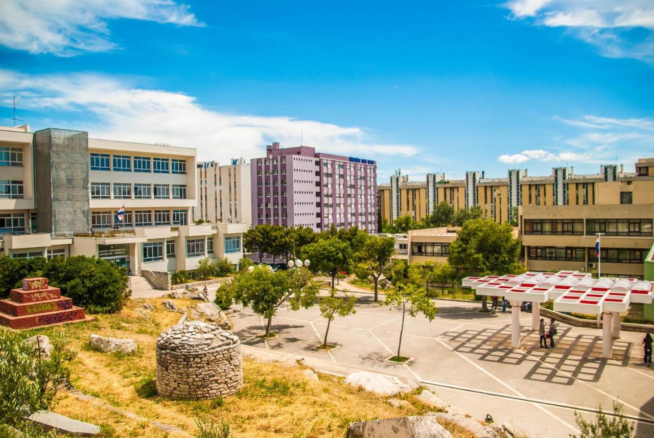 Hostel Summer Budget Split