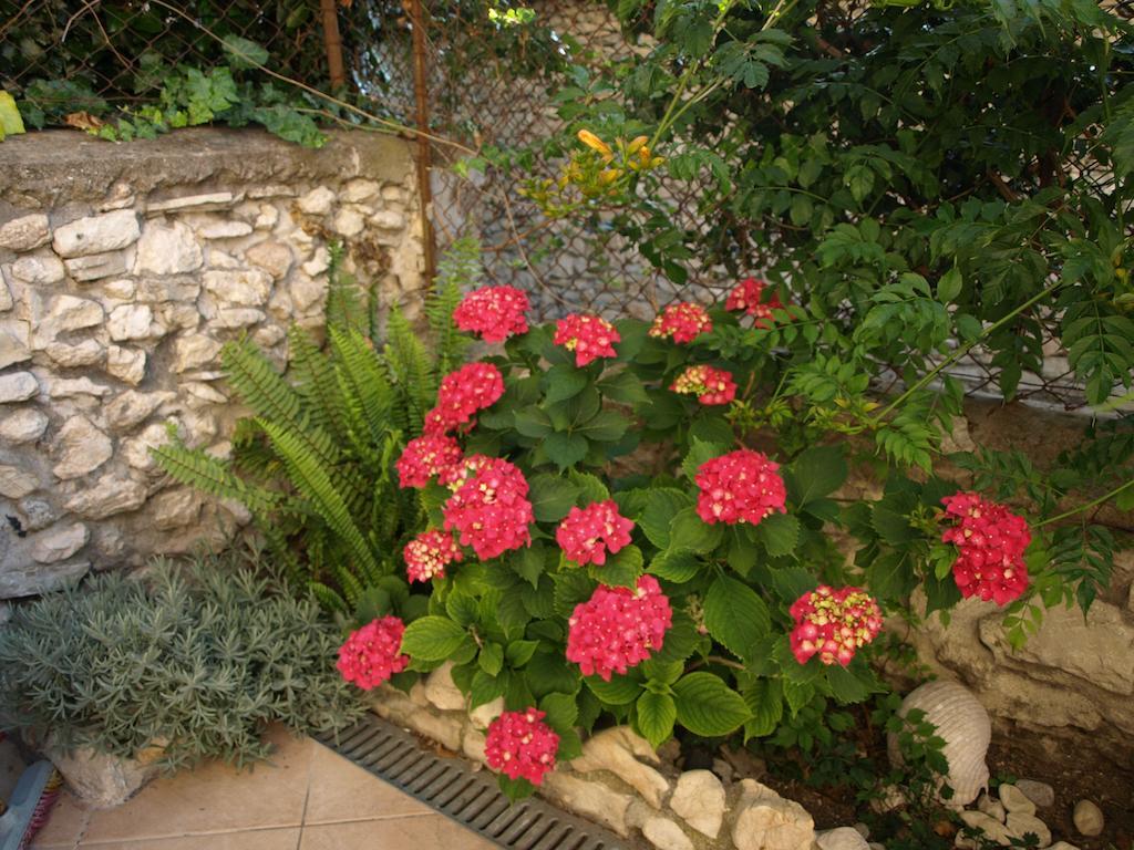 Apartman Branka *