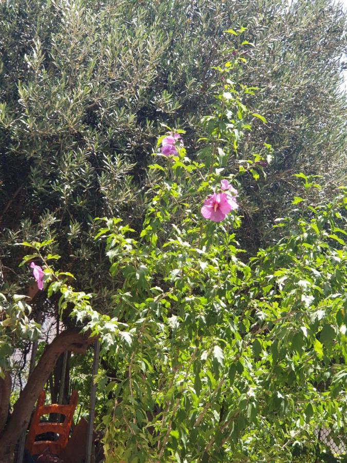 Apartment Paradiso Split