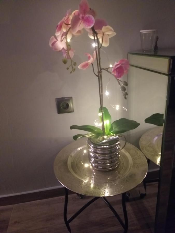 Apartman Ines Split